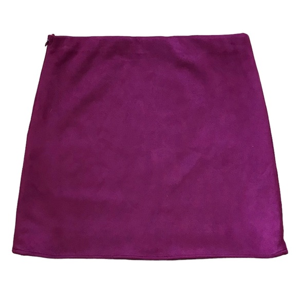 Embroidered Suede Mini Skirt - Picture 3 of 4